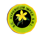 SC HYPERICUM IMPEX SRL