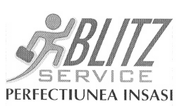BLITZ SERVICE PERFECŢIUNEA ÎNSĂŞI