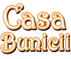 CASA BUNICII