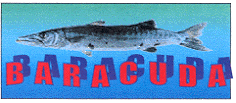BARACUDA