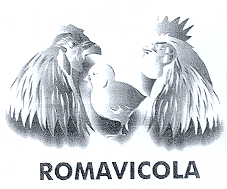 ROMAVICOLA