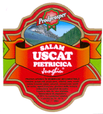SALAM USCAT PIETRICICA