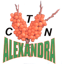 CTN ALEXANDRA