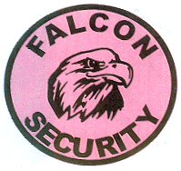FALCON SECURITY