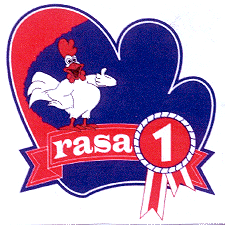 RASA 1