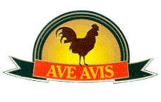 AVE AVIS