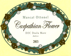 CARPATHIAN FLOWER