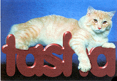 TASHA