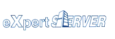 EXPERTSERVER