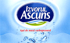 IZVORUL ASCUNS
