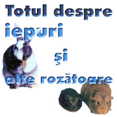 TOTUL DESPRE IEPURI ŞI ALTE ROZĂTOARE