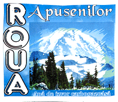 ROUA APUSENILOR