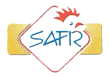 SAFIR