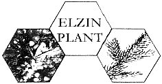 ELZIN PLANT