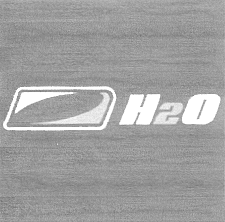 H20