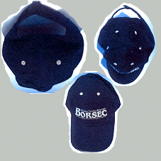 BORSEC