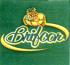 BRIFCOR