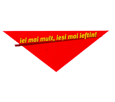 IEI MAI MULT, IEŞI MAI IEFTIN !
