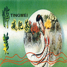 TINGMEI