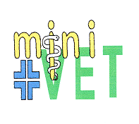 MINIVET SRL