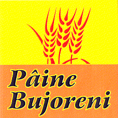 PÂINE BUJORENI