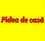 FIDEA DE CASĂ