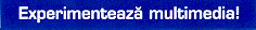 EXPERIMENTEAZA MULTIMEDIA!