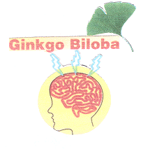 GINKGO BILOBA