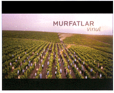 MURFATLAR VINUL