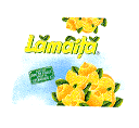 LĂMÂIŢA