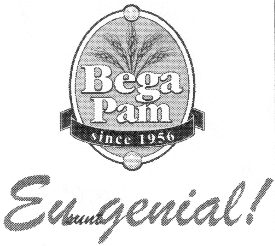BEGA PAM 