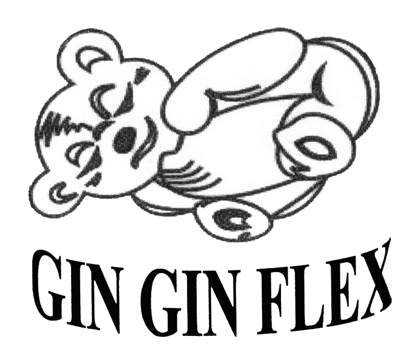 GIN GIN FLEX
