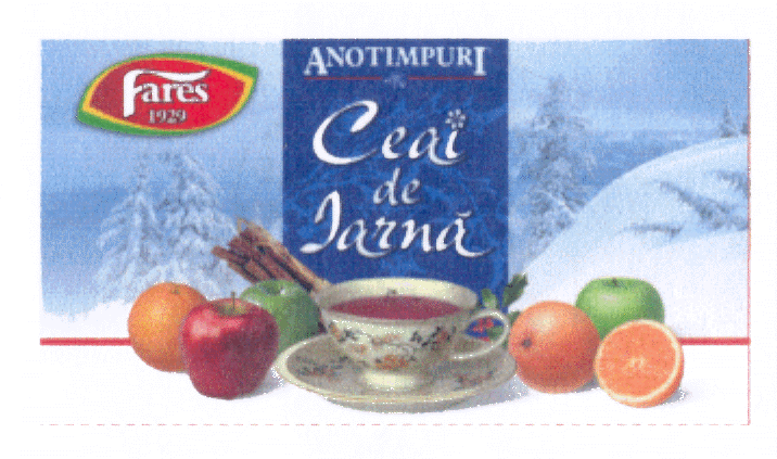 ANOTIMPURI - CEAI DE IARNĂ