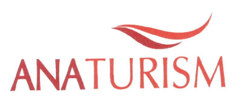 ANATURISM