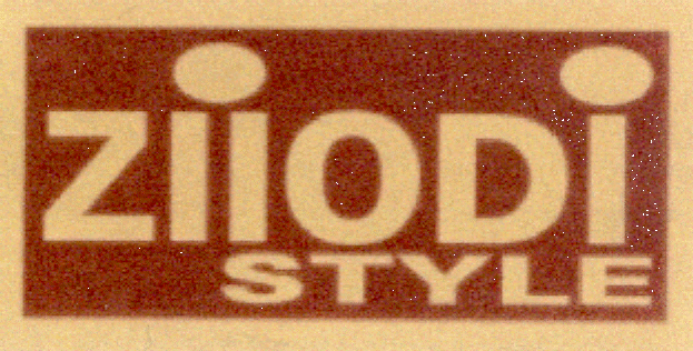 ZIIODI STYLE