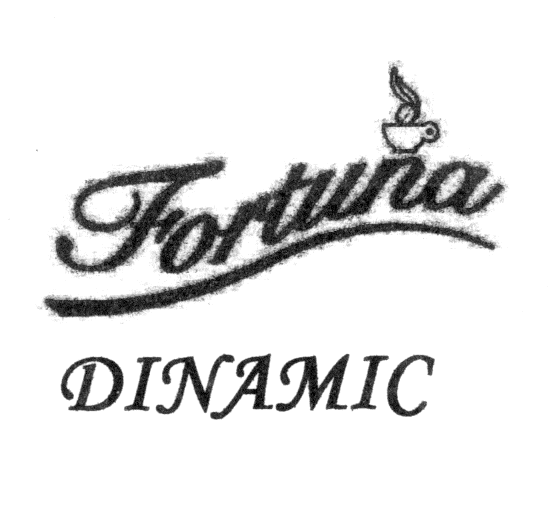 FORTUNA DINAMIC