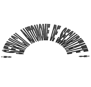 SERVICII AUTONOME DE SECURITATE