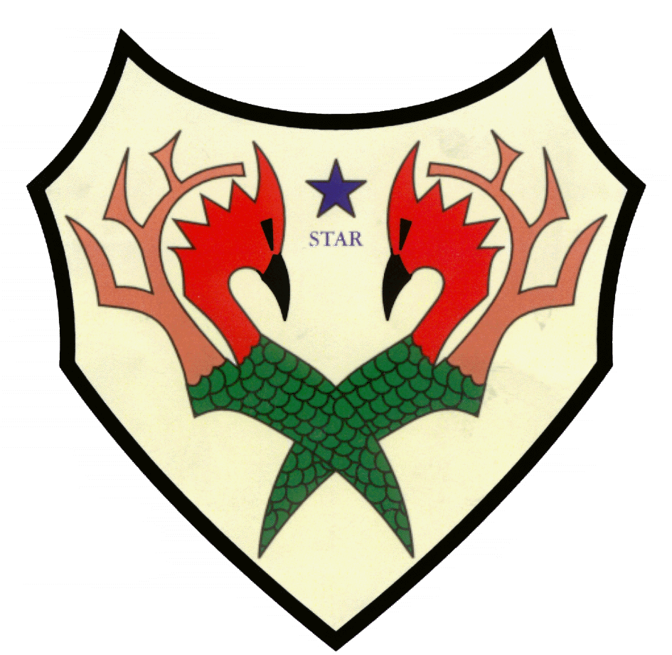 STAR GROUP SECURITY