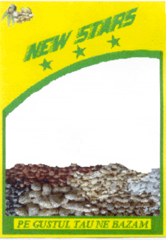 NEW STARS PE GUSTUL TAU NE BAZAM