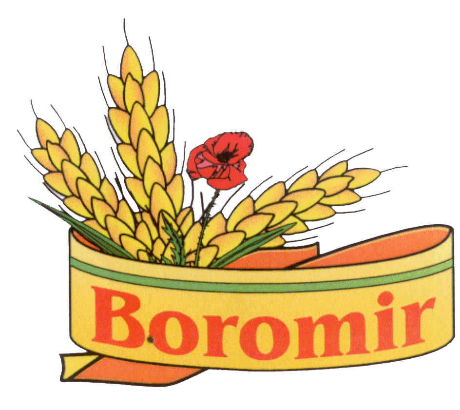 BOROMIR