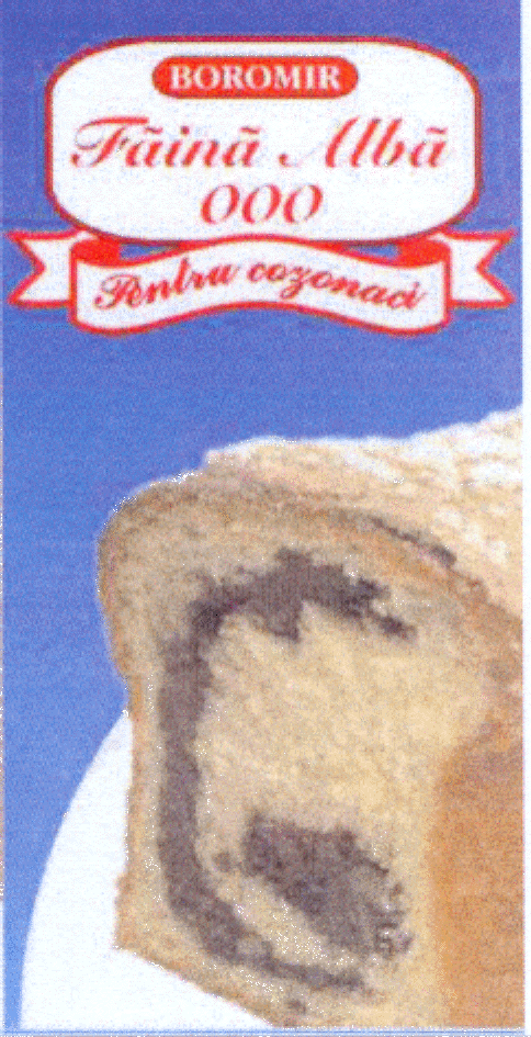 BOROMIR FĂINĂ ALBĂ 000 PENTRU COZONACI!
