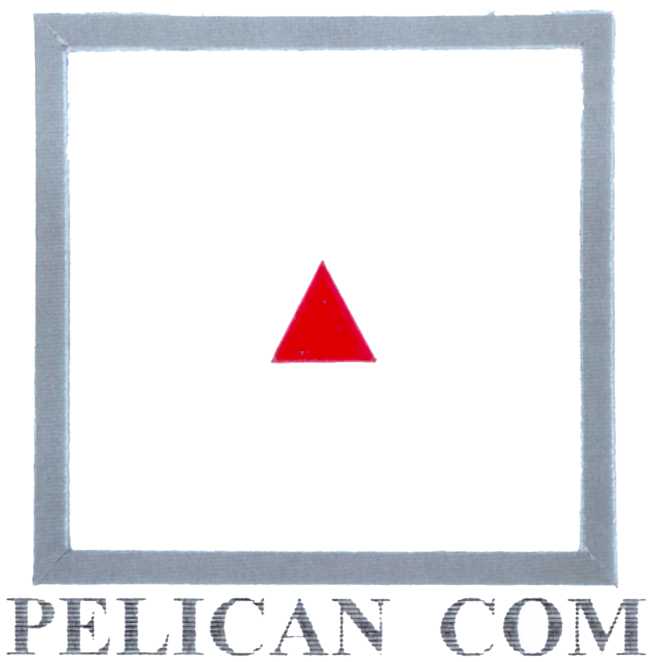 PELICAN COM