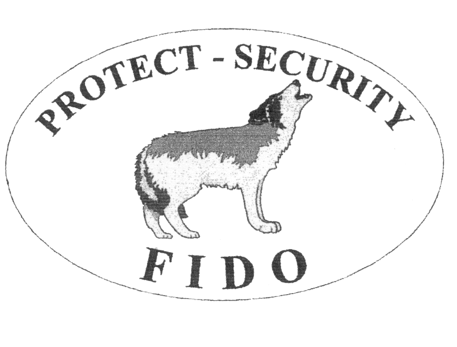 FIDO PROTECT SECURITY
