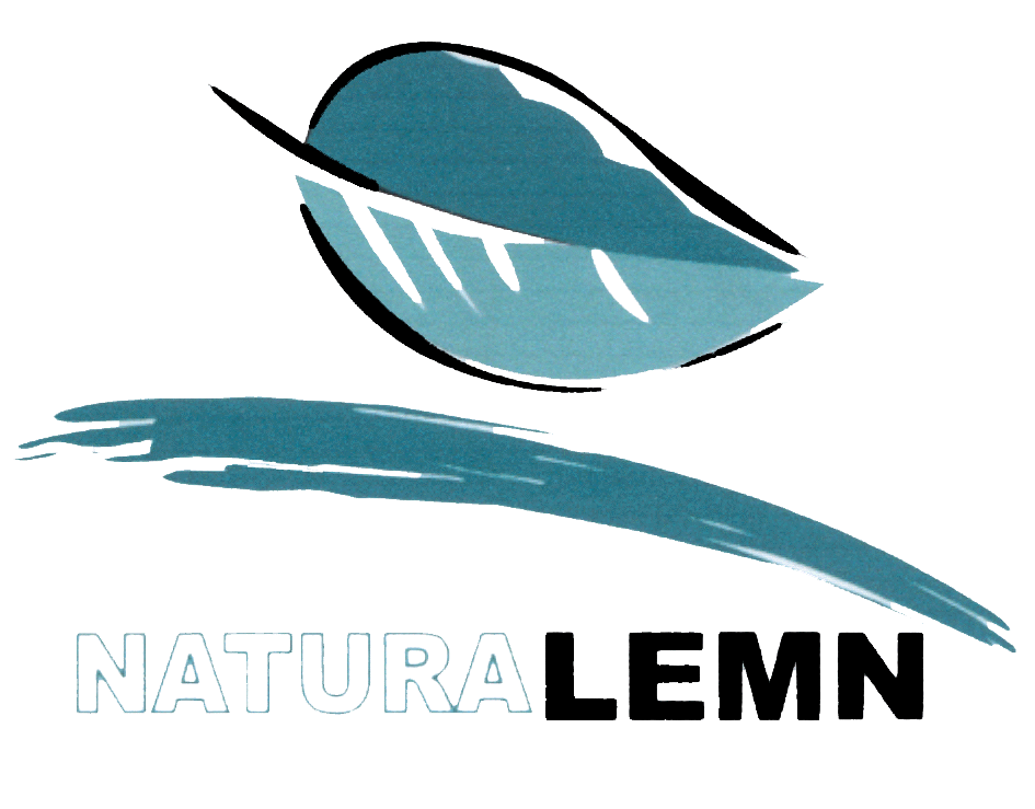 NATURA LEMN