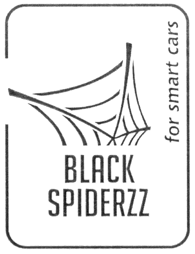 BLACK SPIDERZZ FOR SMART CARS