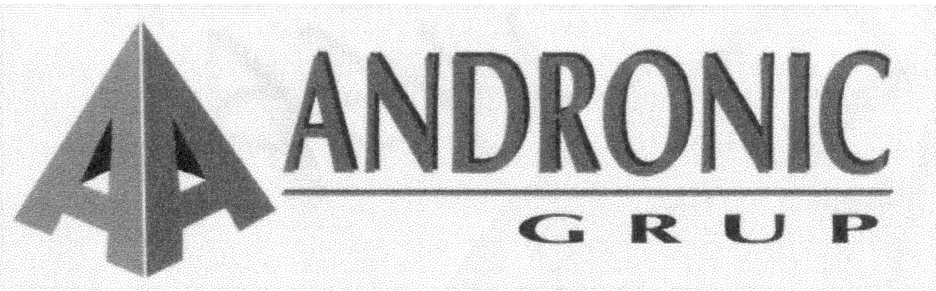 ANDRONIC GRUP
