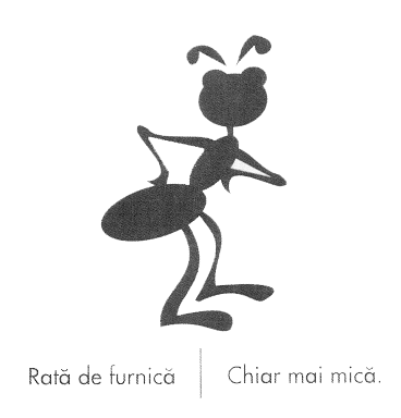 RATĂ DE FURNICĂ CHIAR MAI MICĂ