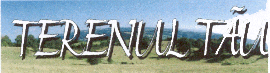 TERENUL TĂU