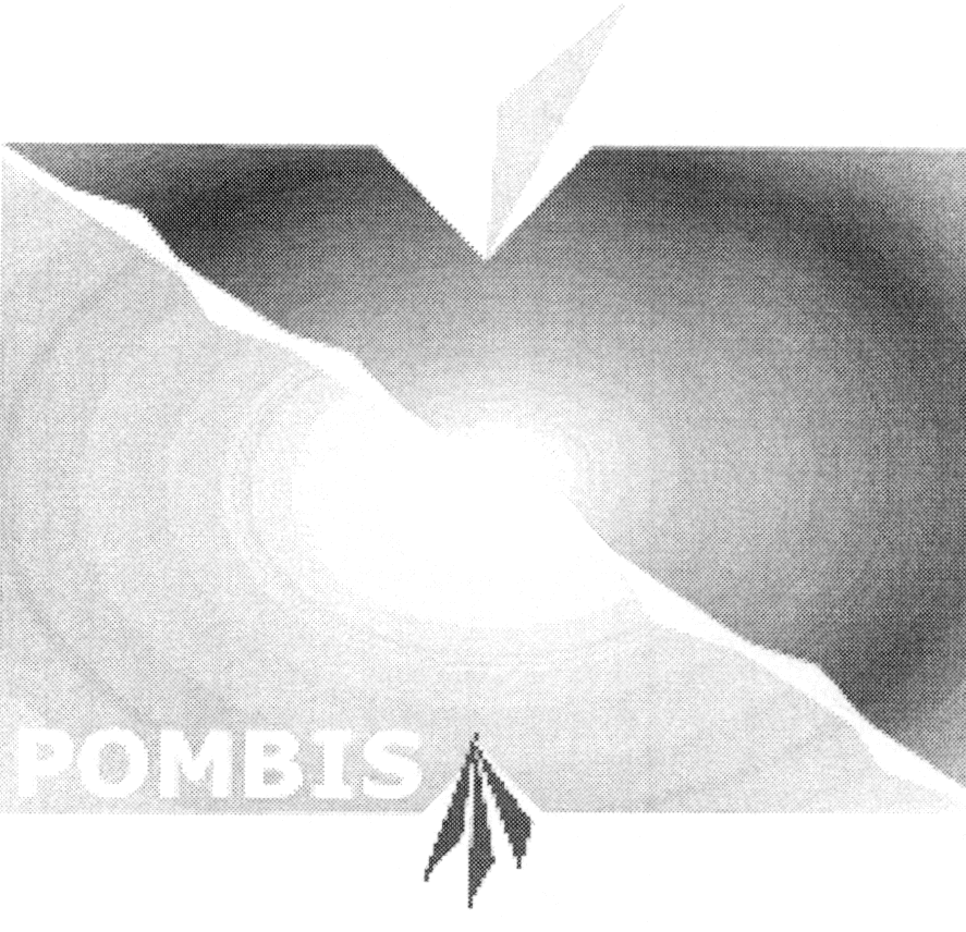 POMBIS
