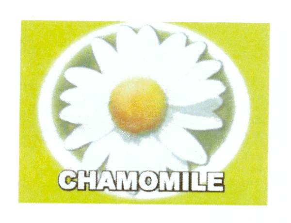 CHAMOMILE